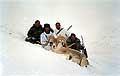 Sheep hunting & ibex hunting in Kyrgyzstan