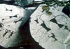 Pictures of Petroglyphs