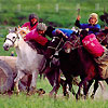 Festival of national horse games