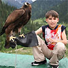 Birds of prey festival