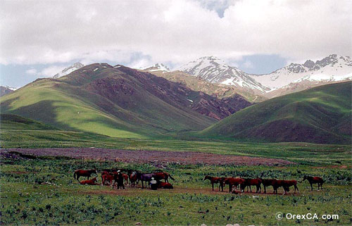 Pictures of Kyrgyzstan