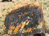 Cholpon-Ata Petroglyphs